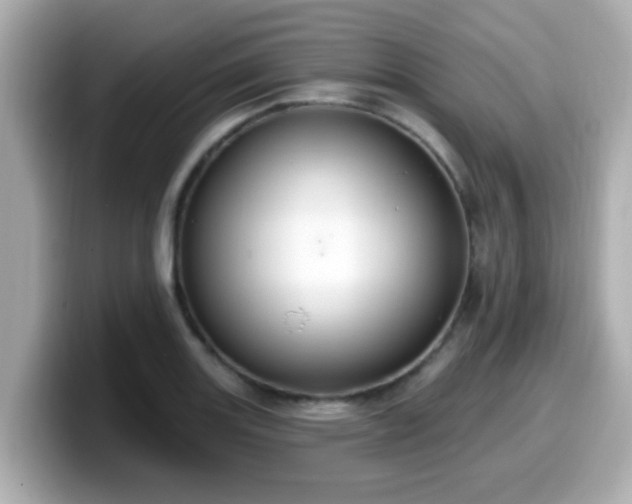 X0000099561131200805231507