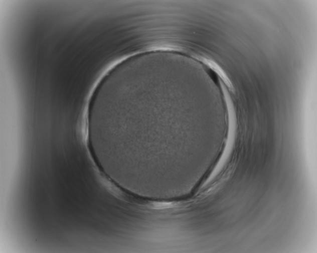 X0000099561132200805231507