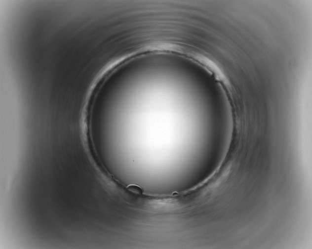 X0000099561133200805231507