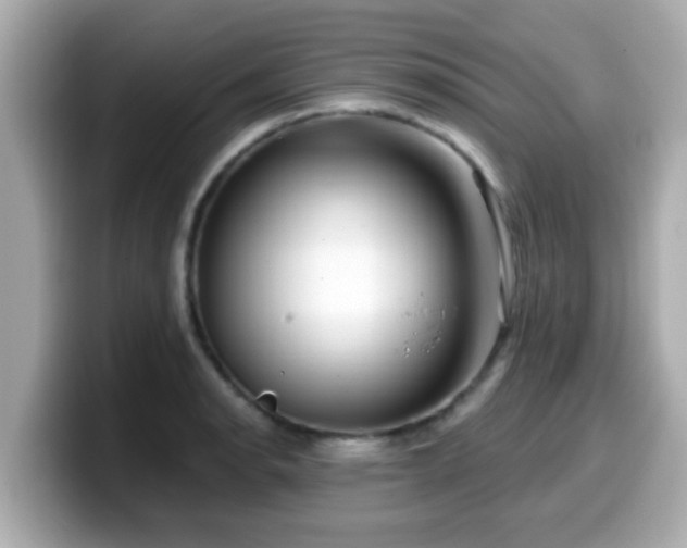 X0000099561134200805231507