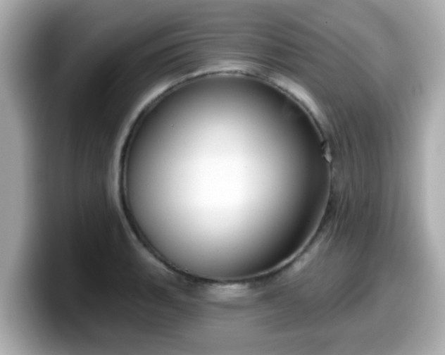 X0000099561135200805231507