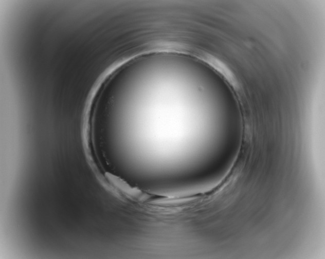 X0000099561136200805231507