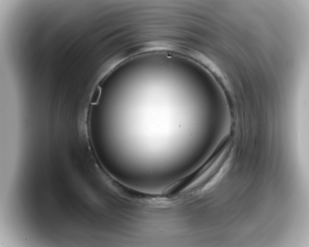 X0000099561137200805231507