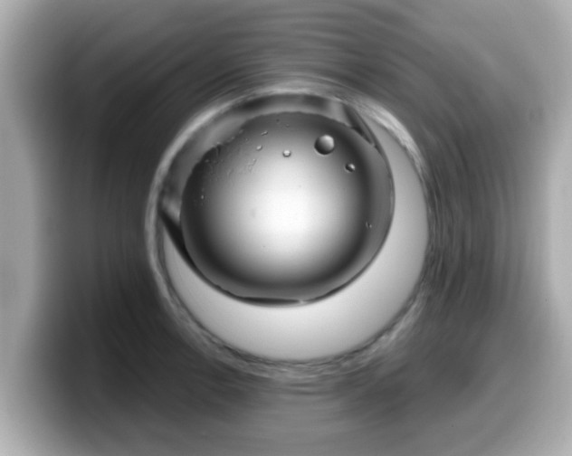 X0000099561138200805231507