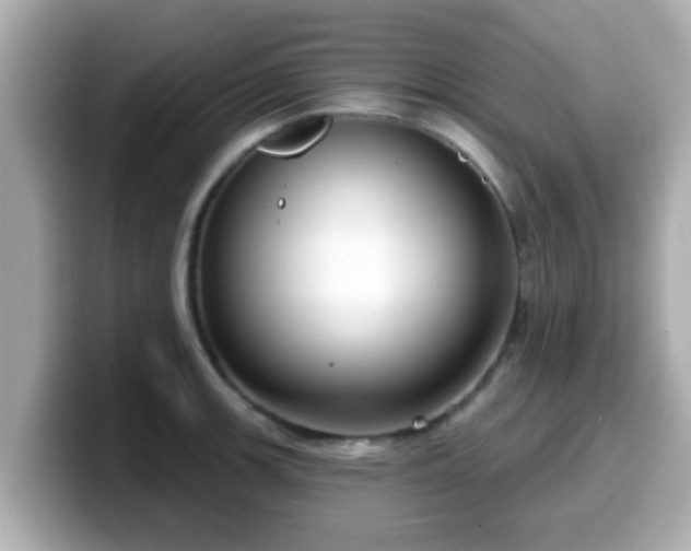 X0000099561139200805231507