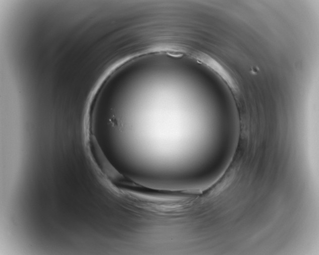 X0000099561140200805231507