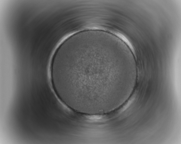 X0000099561141200805231507