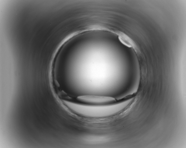 X0000099561142200805231507