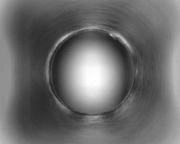 X0000099561143200805231507