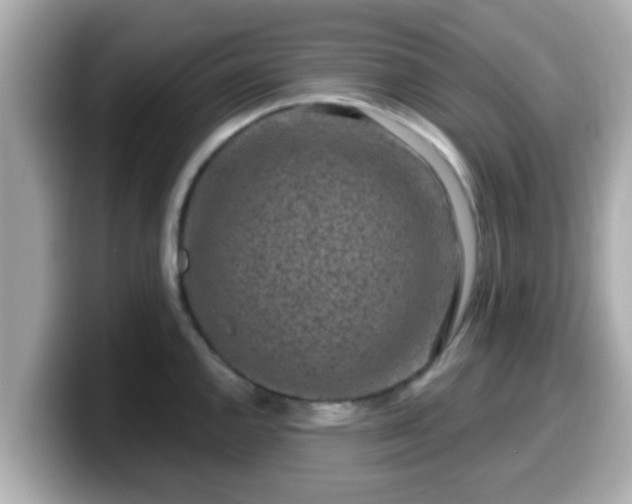 X0000099561144200805231507