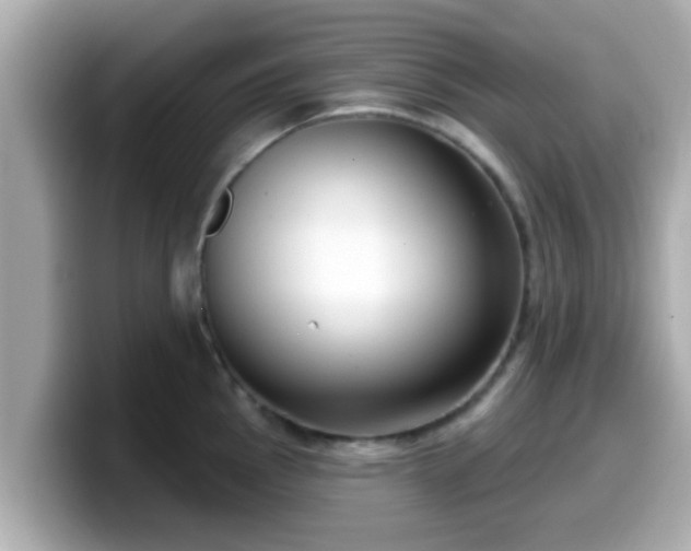 X0000099561145200805231507