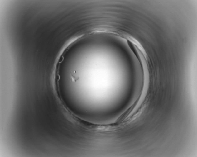 X0000099561146200805231507