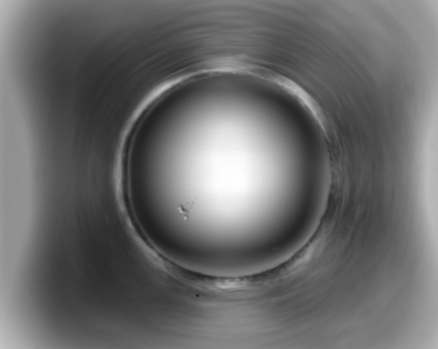 X0000099561147200805231507