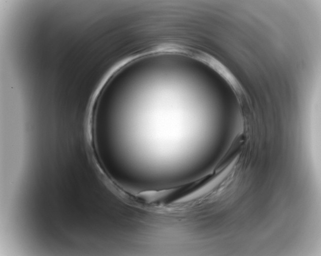 X0000099561148200805231507