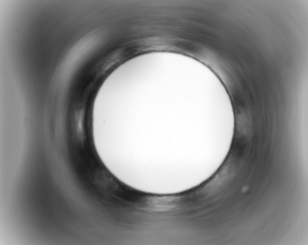 X0000099561150200805231507