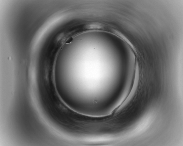 X0000099561151200805231507