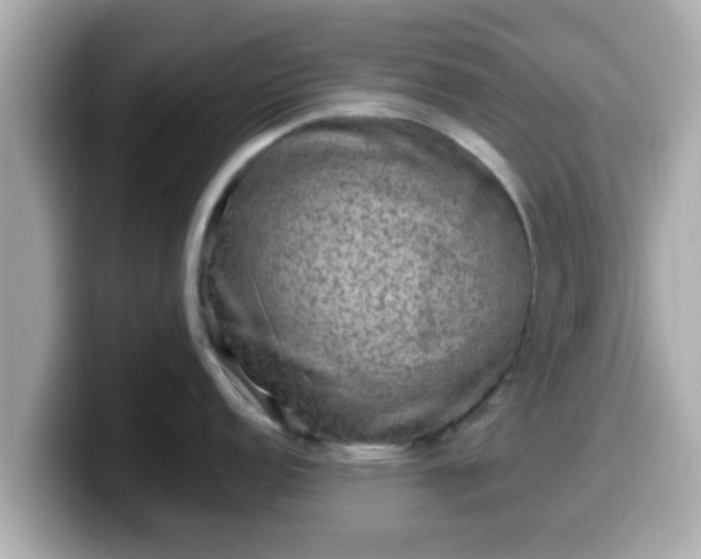 X0000099561152200805231507