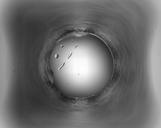 X0000099561153200805231507