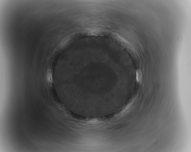 X0000099561155200805231507