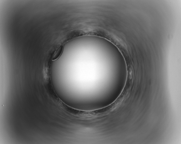 X0000099561156200805231507