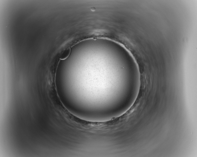 X0000099561158200805231507