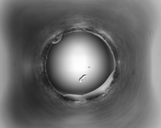 X0000099561159200805231507