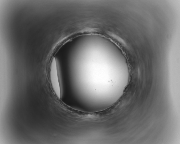 X0000099561160200805231507