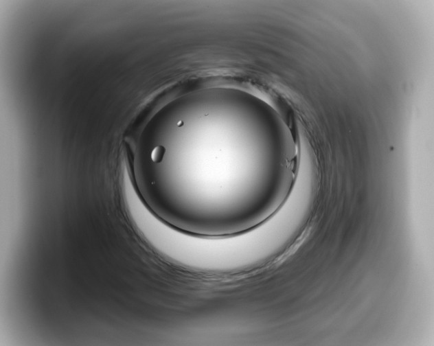 X0000099561161200805231507