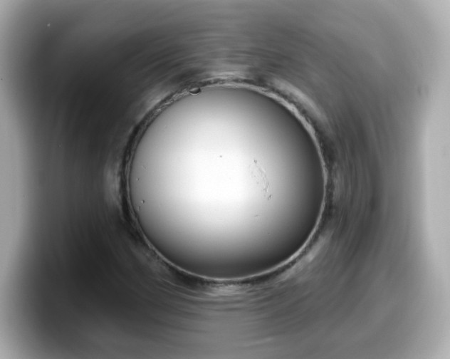 X0000099561162200805231507