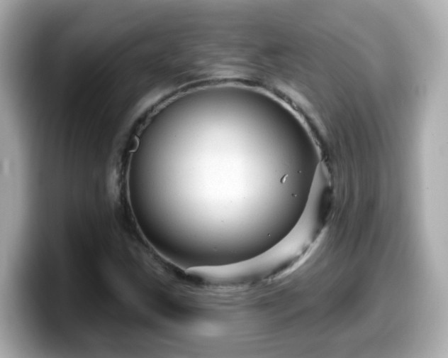 X0000099561163200805231507