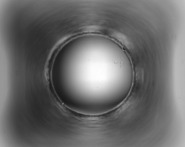 X0000099561164200805231506