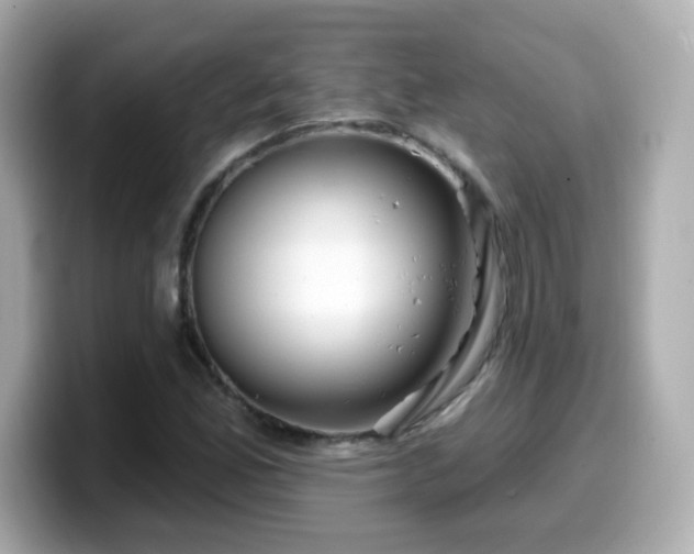 X0000099561165200805231506