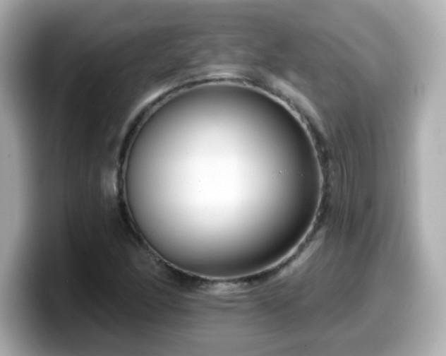 X0000099561166200805231506