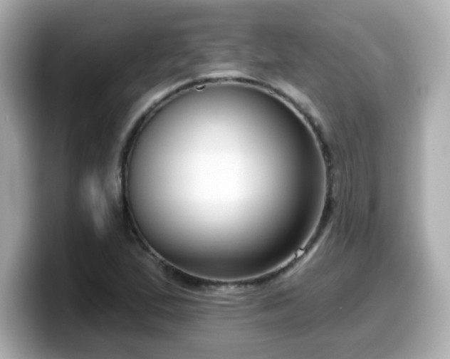 X0000099561167200805231506