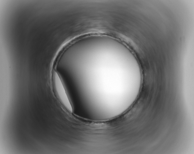 X0000099561168200805231506