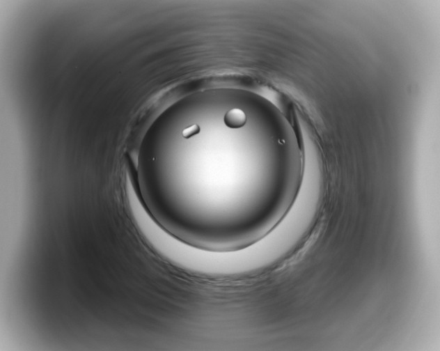 X0000099561169200805231506