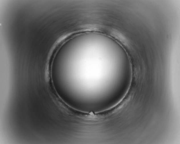 X0000099561172200805231506