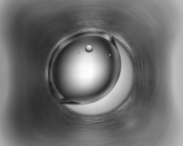 X0000099561173200805231506