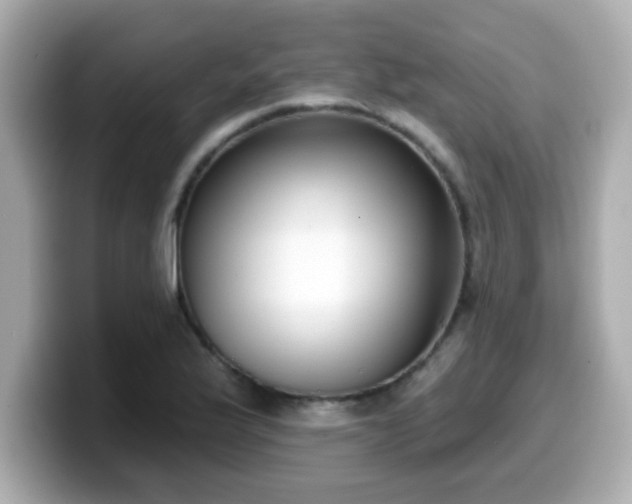 X0000099561175200805231506