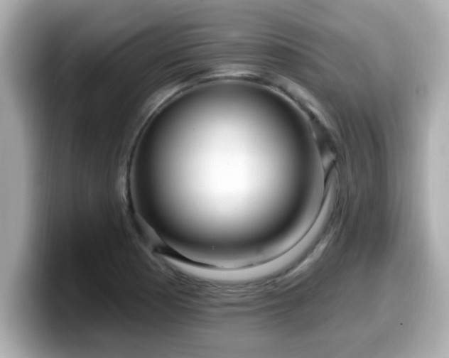 X0000099561177200805231506