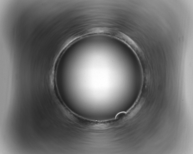 X0000099561178200805231506