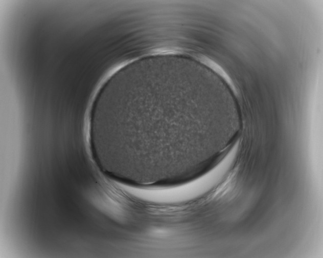 X0000099561179200805231506