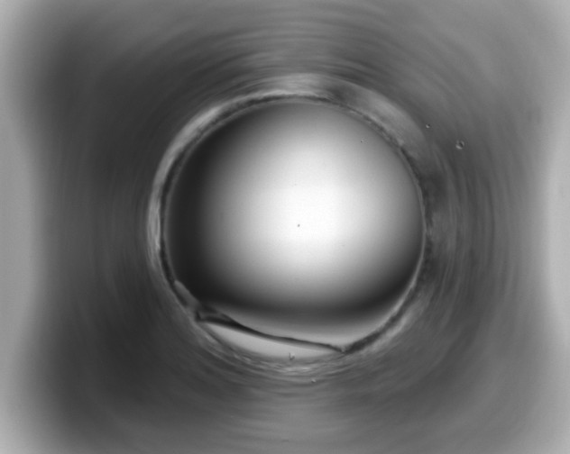 X0000099561180200805231506