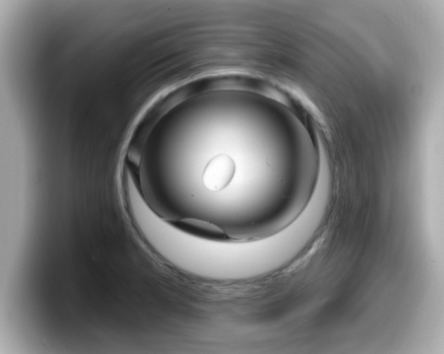 X0000099561181200805231506