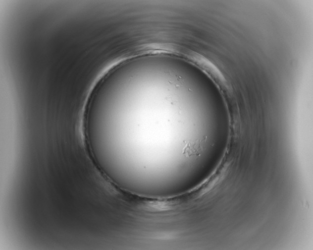 X0000099561182200805231506