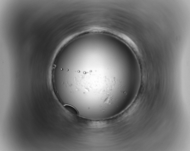 X0000099561183200805231506