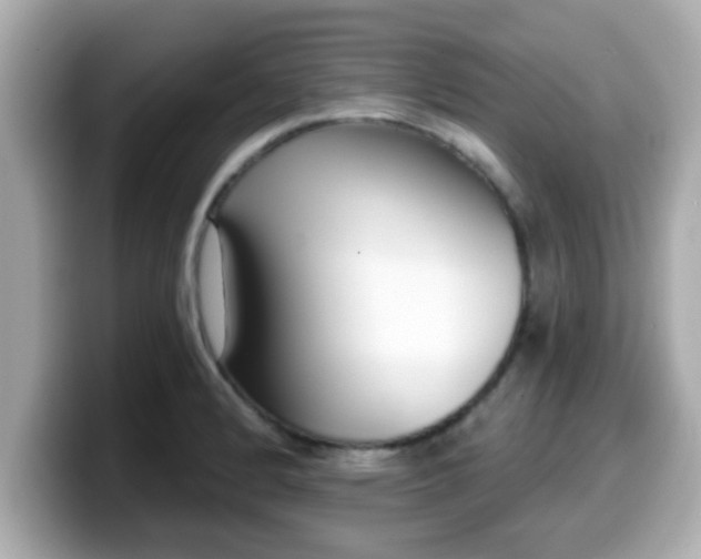 X0000099561184200805231506