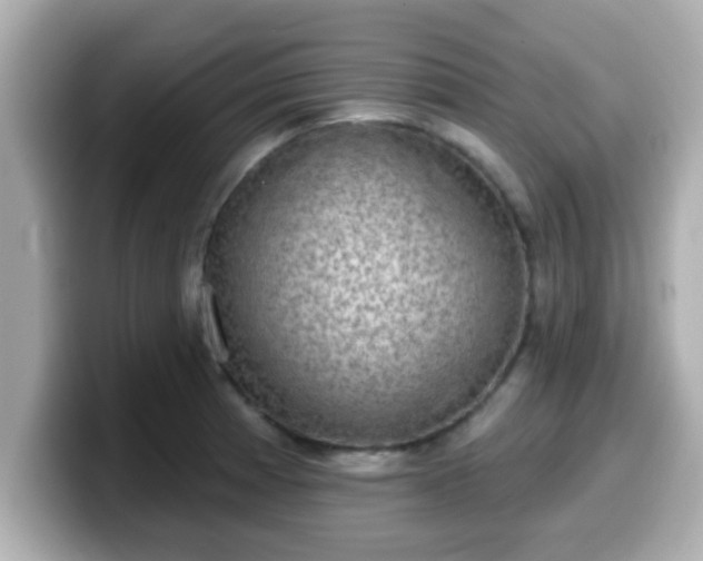 X0000099561185200805231506