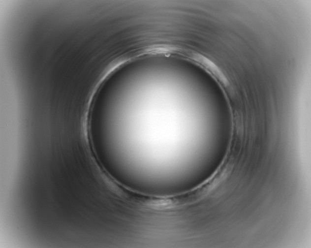 X0000099561186200805231506