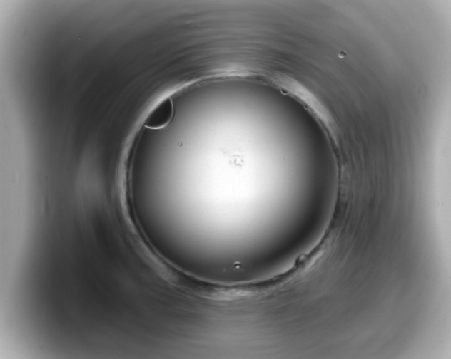 X0000099561187200805231506